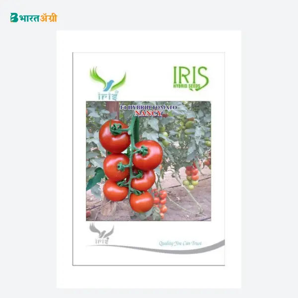 Iris Nancy F1 Tomato Seeds - BharatAgri Krushidukan