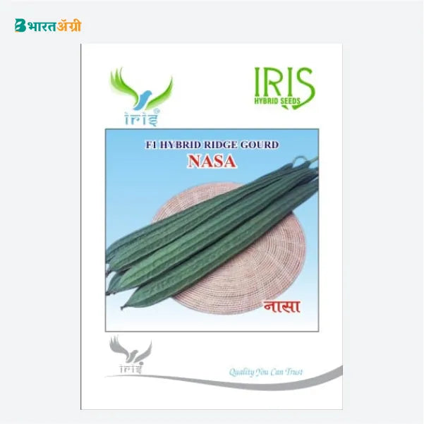 Iris Nasa F1 Ridge Gourd Seeds - BharatAgri Krushidukan