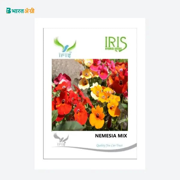 Iris Imported Nemesia Mix Flower Seeds - BharatAgri