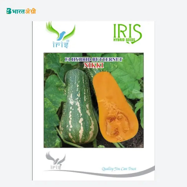 Iris Nikki F1 Butternut (Red Pumpkin) Seeds - BharatAgri