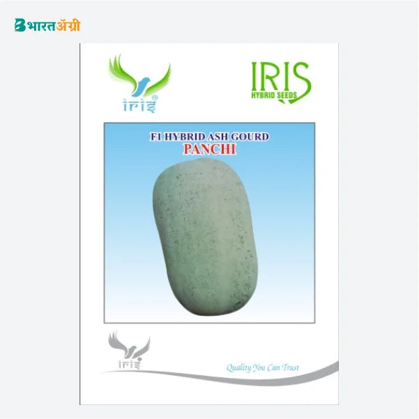 Iris Panchi F1 Ash Gourd Seeds - BharatAgri Krushidukan