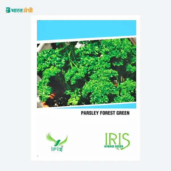 Iris Hybrid Herb Seeds Parsley - BharatAgri Krushidukan