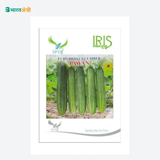 Iris Pawan F1 Cucumber Seeds - BharatAgri Krushidukan