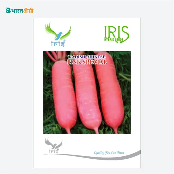 Iris Special Chinese Pink Radish Seeds - BharatAgri