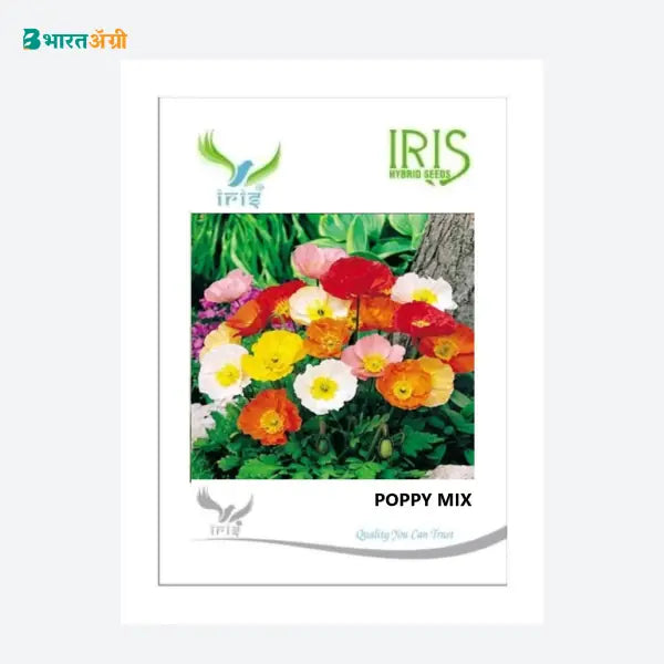 Iris Imported Poppy Mix Flower Seeds - BharatAgri