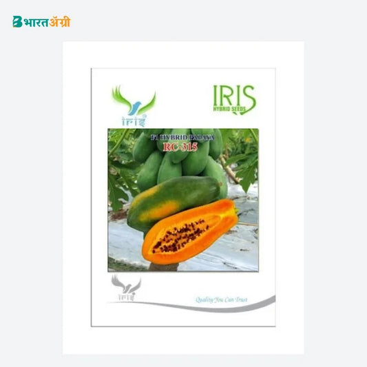 Iris RC 315 F1 Papaya Seeds - BharatAgri Krushidukan