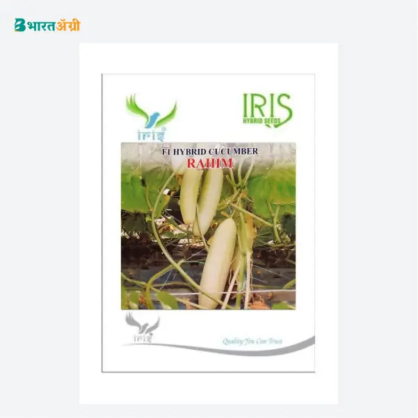 Iris Rahim F1 Cucumber Seeds - BharatAgri Krushidukan