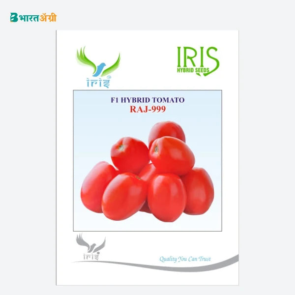 Iris Raj 999 F1 Tomato Seeds - BharatAgri Krushidukan