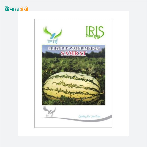Iris Hybrid Fruit Seeds F1 Hybrid Watermelon Samrat - Ice Box Segment