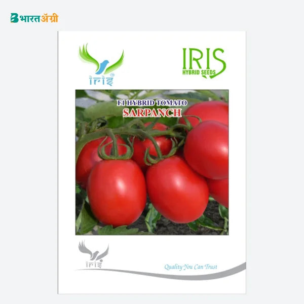 Iris Sarpanch (Heat) F1 Tomato Seeds - BharatAgri