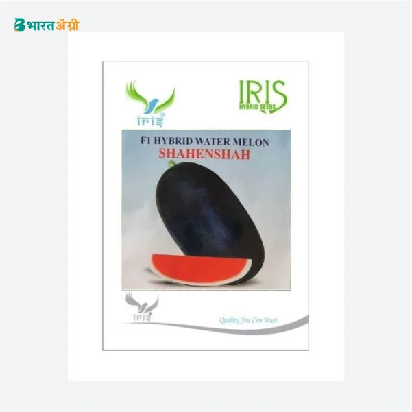 Iris Hybrid Fruit Seeds F1 Hybrid Watermelon Shahenshah - BharatAgri