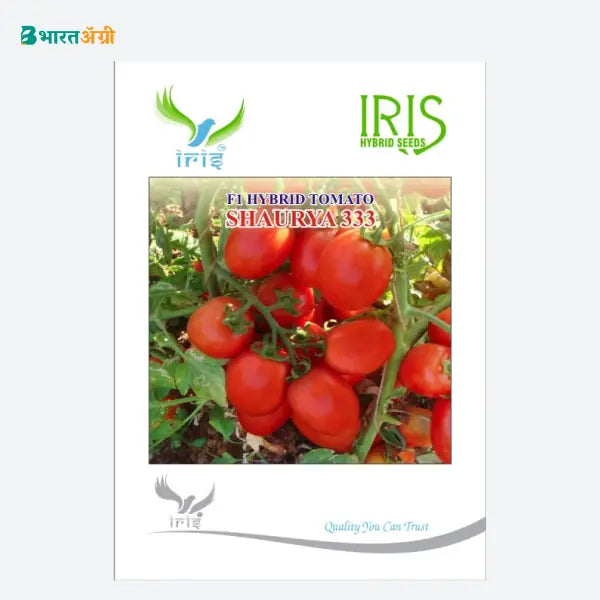 Iris Shaurya 333 F1 Tomato Seeds - BharatAgri Krushidukan