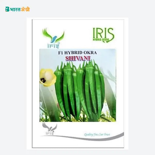 Iris Shivani F1 Okra Seeds - BharatAgri Krushidukan