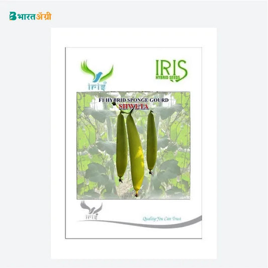 Iris Shweta F1 Sponge Gourd Seeds - BharatAgri Krushidukan