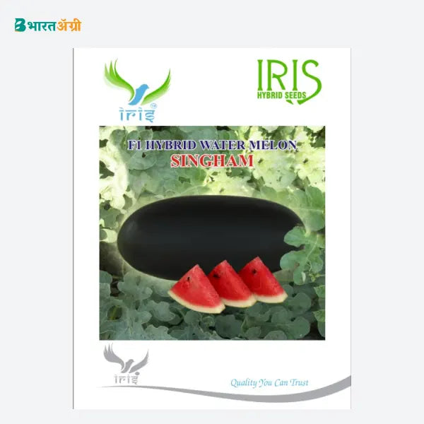 Iris Singham F1 Watermelon Seeds - BharatAgri Krushidukan