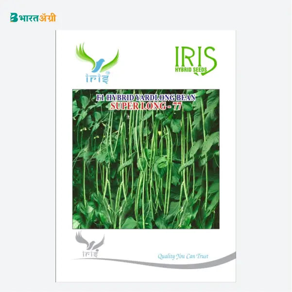 Iris Super Long 77 Yard Long Beans Seeds - BharatAgri