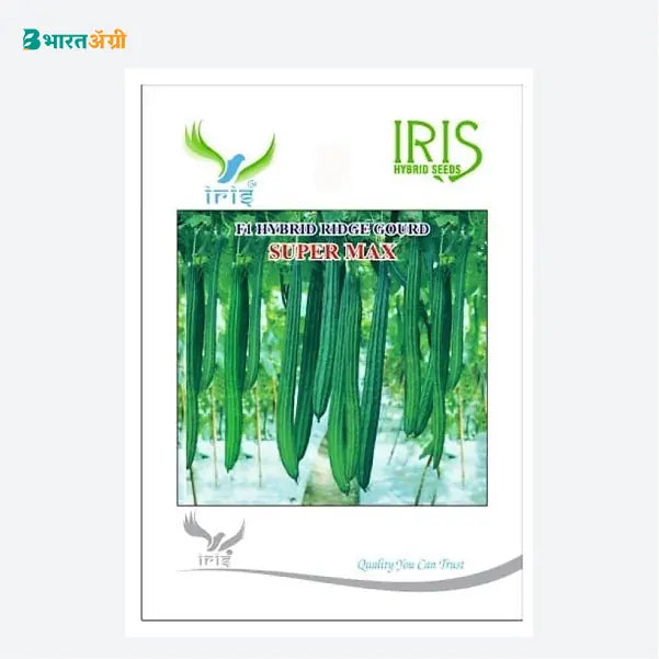 Iris Super Max F1 Ridge Gourd Seeds - BharatAgri