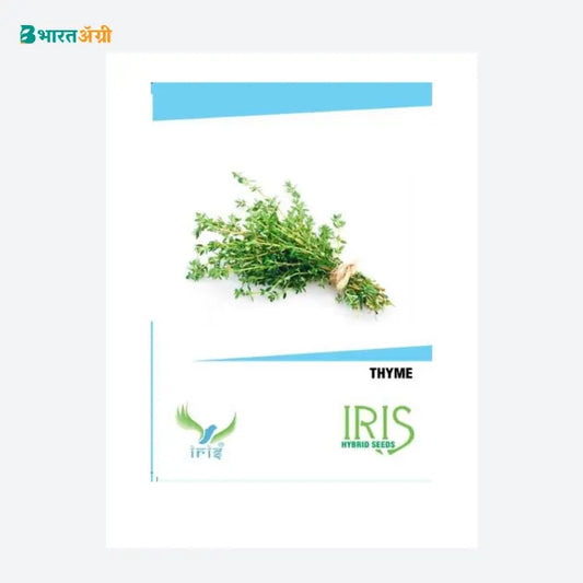 Iris Imported Thyme Herb Seeds - BharatAgri Krushidukan