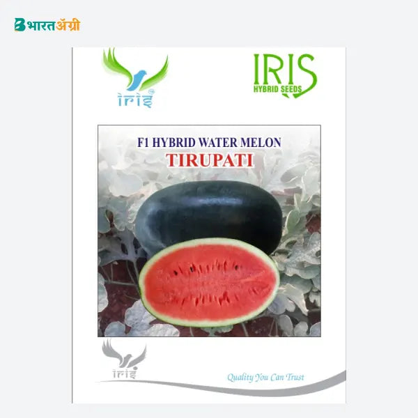 Iris Tirupati F1 Watermelon Seeds - BharatAgri Krushidukan