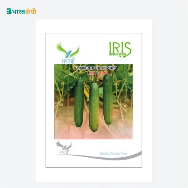 Iris Ustad F1 Cucumber Seeds - BharatAgri Krushidukan