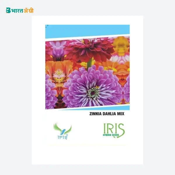Iris Imported Zinnia Dahlia Mix Flower Seeds - BharatAgri