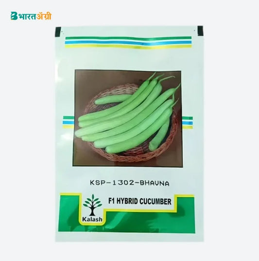 Kalash KSP-1302 Bhavna Cucumber Seeds | BharatAgri Krushidukan