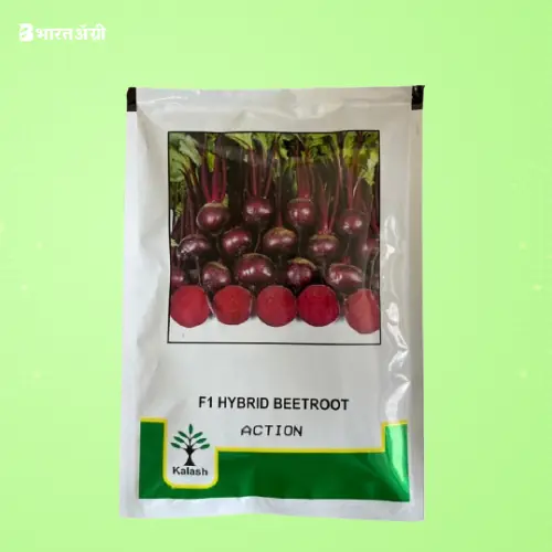 Kalash Seeds Action F1 Hybrid Beetroot Seeds | BharatAgri Krushidukan