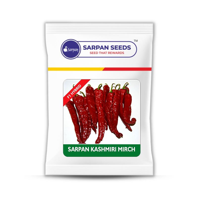 Sarpan Hybrid F1 Kashmiri Mirch Seeds - BharatAgri Krushidukan_1