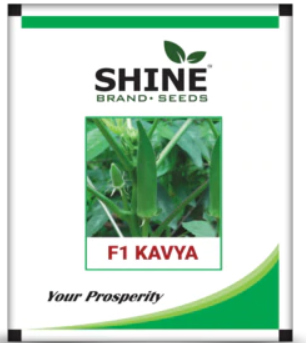 Okra Kavya F1 Seeds - Shine Brand Seeds - BharatAgri Krushidukan_3