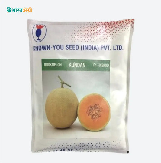 Known You Kundan F1 Hybrid Muskmelon Seeds | BharatAgri