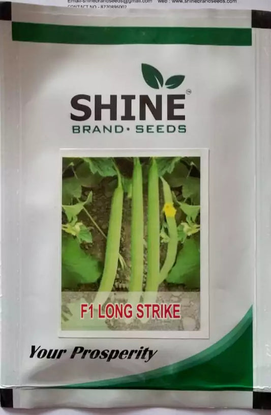 Long Melon (Kakari) F1 Long Strike Seeds - Shine Brand Seeds1