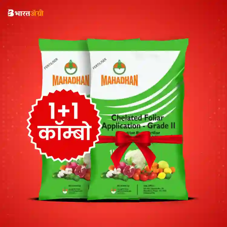 महाधन कॉम्बी - चिलेटिड सूक्ष्मपोषक उर्वरक (1+1 कॉम्बो) | Mahadhan Combi - Chelated Micronutrient Mixture (1+1 Combo)