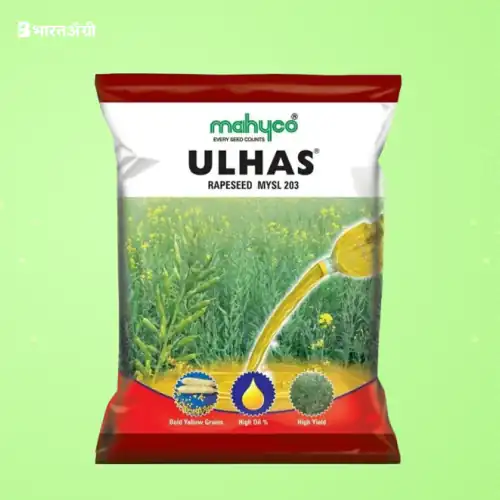 Mahyco Ulhas MYSL-203 Yellow Mustard Seeds | BharatAgri Krushidukan
