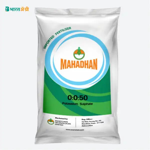 Mango Badhat Kit - Weight Gain (1 Month Before Harvest)3