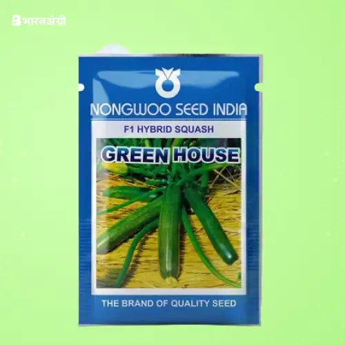 Nongwoo Squash Green House F1 Hybrid Seeds | BharatAgri Krushidukan
