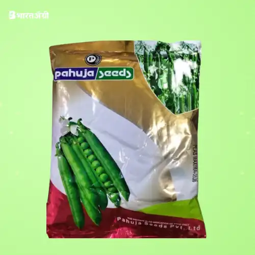 Pahuja Maxima-3636 Pea Seeds | BharatAgri Krushidukan