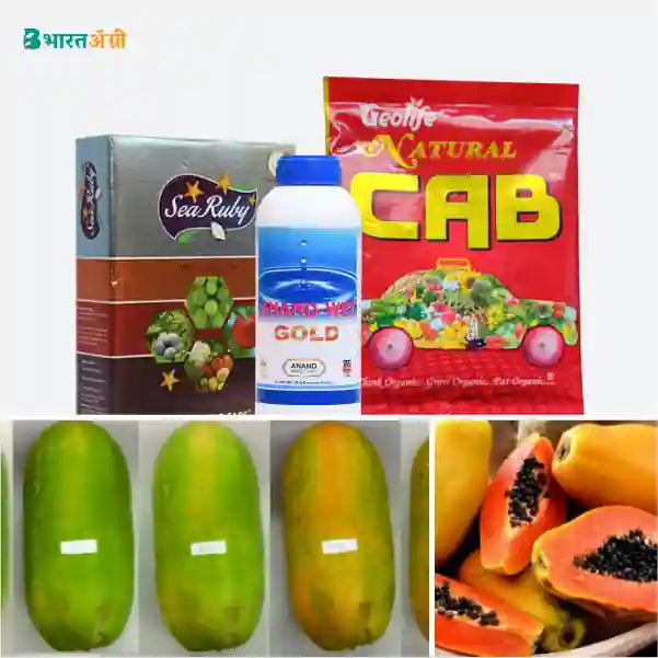 Papaya Badhat Kit - Size and Color (300-365 days) - Krushidukan_1