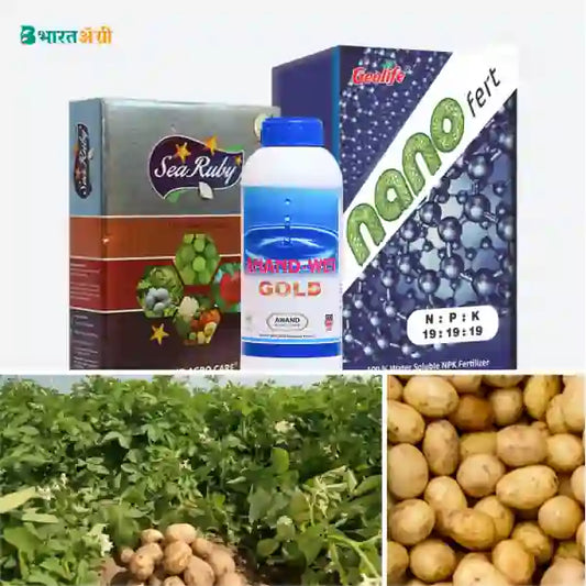 Potato Badhat Kit - Vegetative Growth (10-30 days) - Krushidukan_1