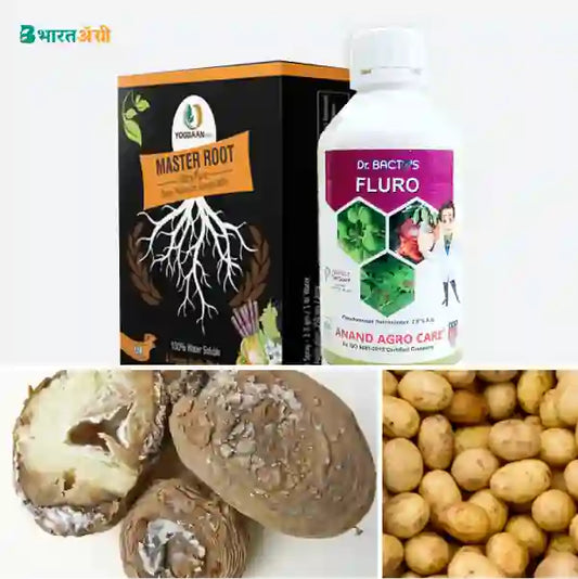 Potato Suraksha Kit - Tuber Treatment - BharatAgri Krushidukan_1