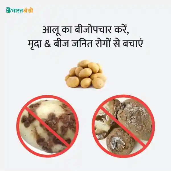 Potato Suraksha Kit - Tuber Treatment - BharatAgri Krushidukan_3