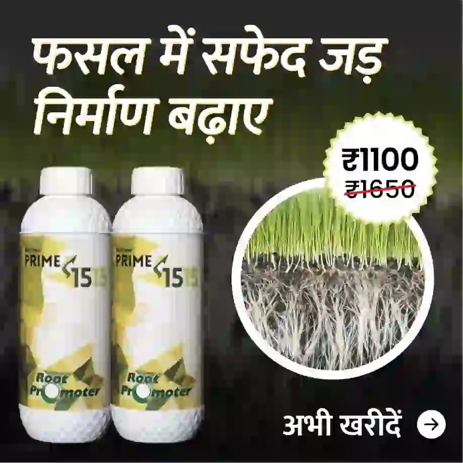 Prime 1515(10% Humic Acid) -2 L +1L Offer  - BharatAgri Krushidukan_1