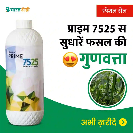 Prime 7525(Seaweed Extract)_BharatAgri Krushidukan