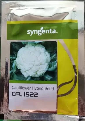 Syngenta CFL-1522 Cauliflower Seeds (BharatAgri KrushiDukan)