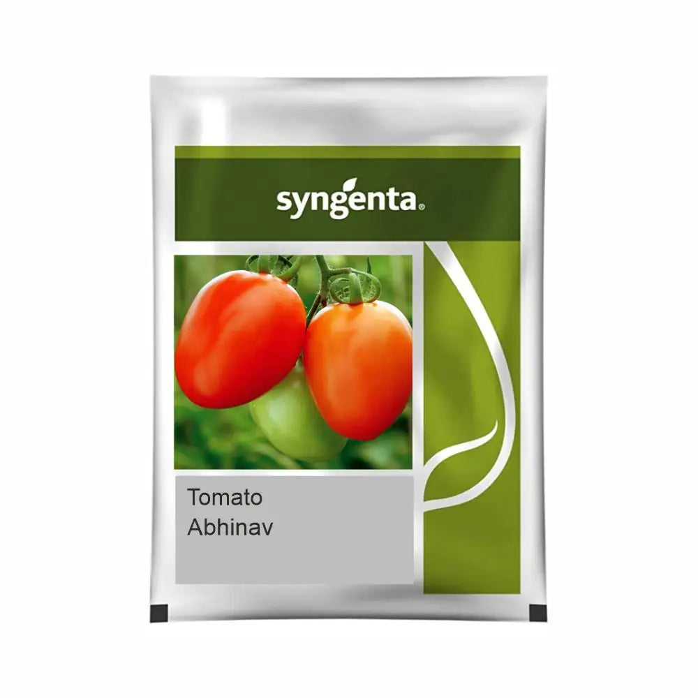 Syngenta AbhinavTomato Seeds (BharatAgri KrushiDukan)