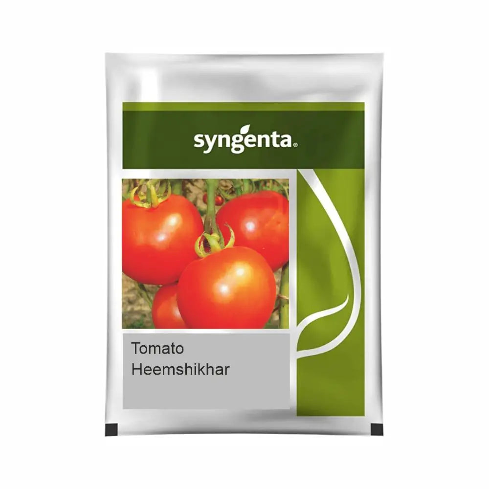 Syngenta Heemshikhar Tomato Seeds_BharatAgri KrushiDukan
