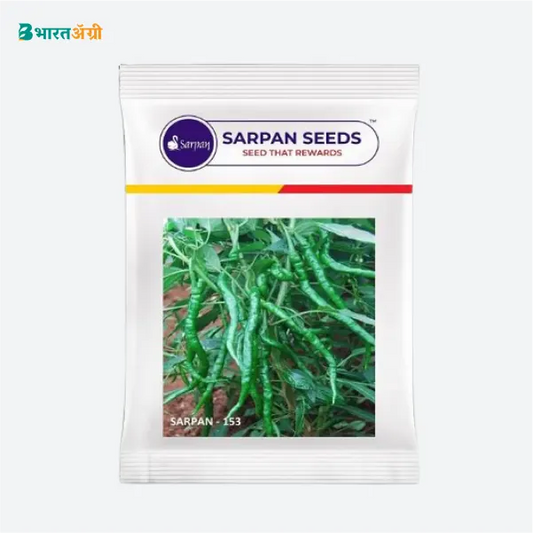 Sarpan- 153 Chilli Seeds - BharatAgri Krushidukan_1