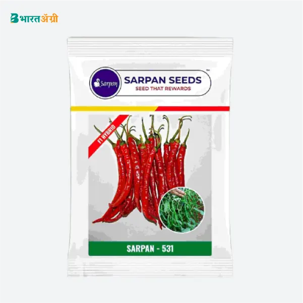 Sarpan- 531 F1 Hybrid Chilli Seeds - BharatAgri Krushidukan_1
