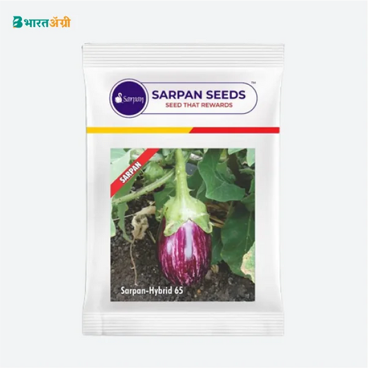 Sarpan F1 Hybrid Brinjal 65 Seeds - BharatAgri Krushidukan_1