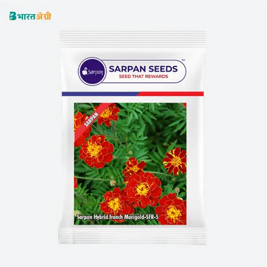 Sarpan Hybrid French Marigold (SFR) - 5 Red Seeds - Krushidukan_1