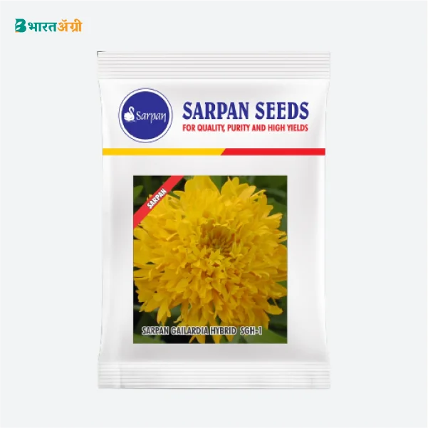 Sarpan Hybrid Gailardia-1 Yellow Seeds - BharatAgri Krushidukan_1